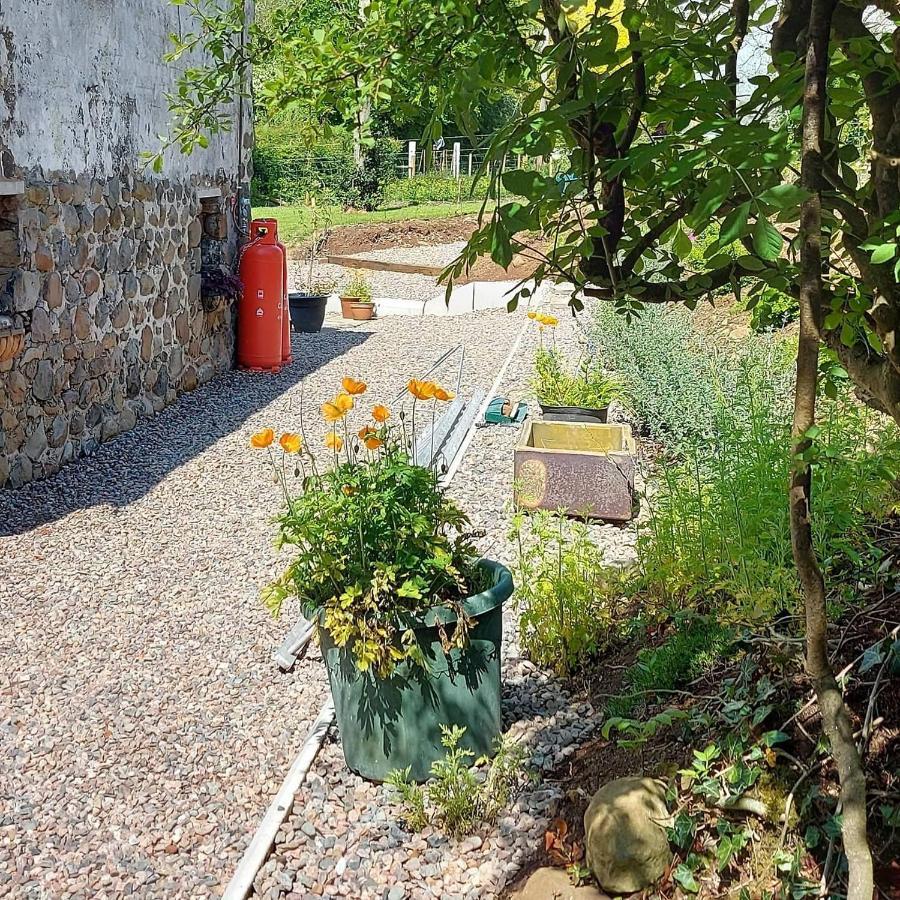 Blackshaw'S Studio Scolboa Zewnętrze zdjęcie